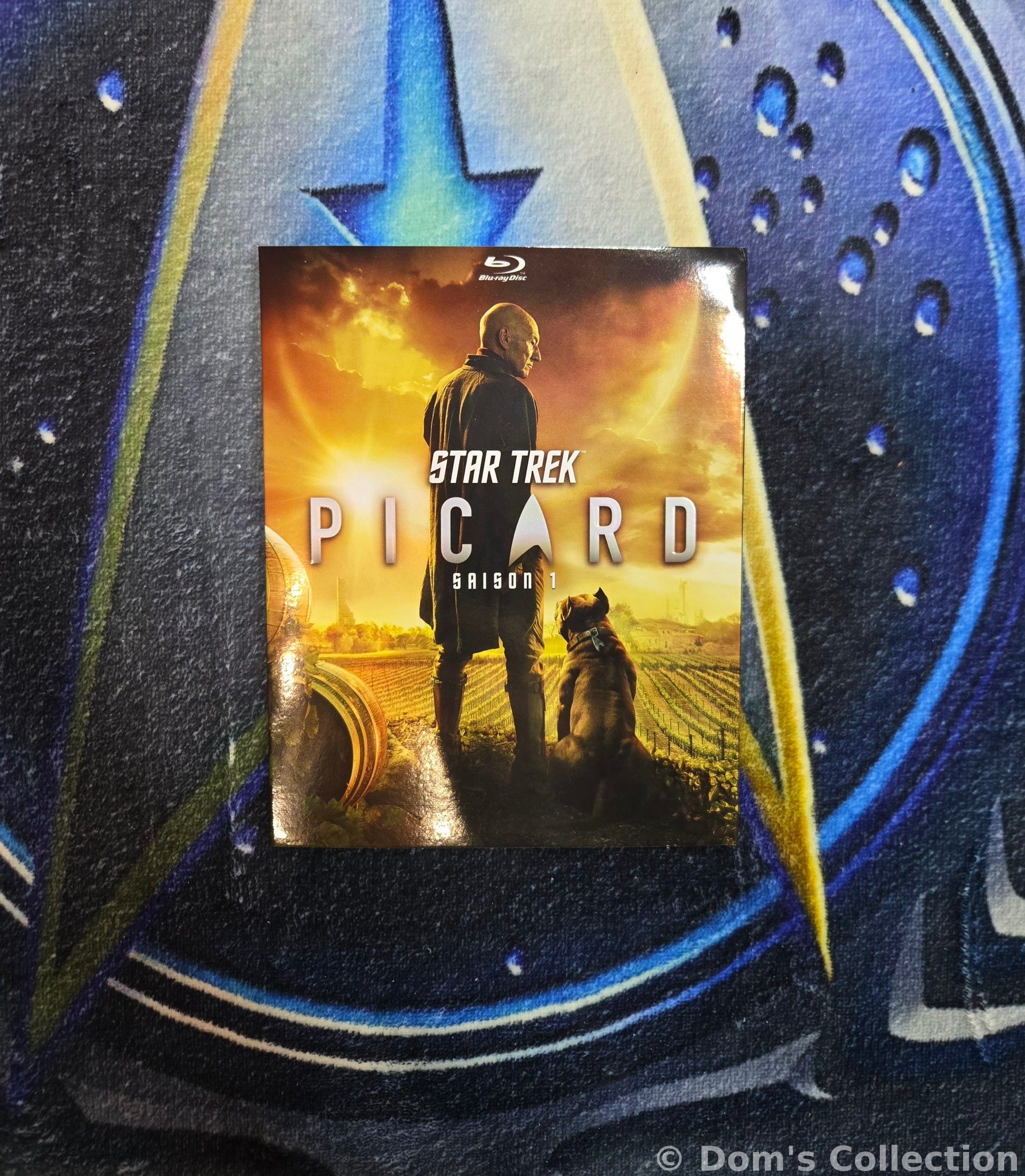 Star Trek: Picard (S1)