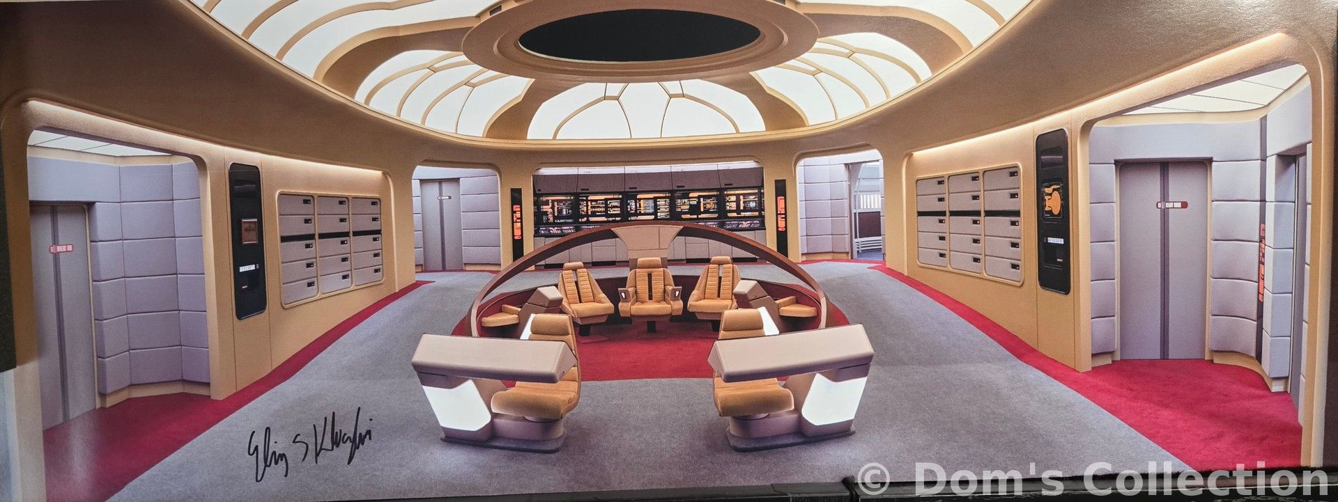 Pont du NCC-1701-D (Picard)