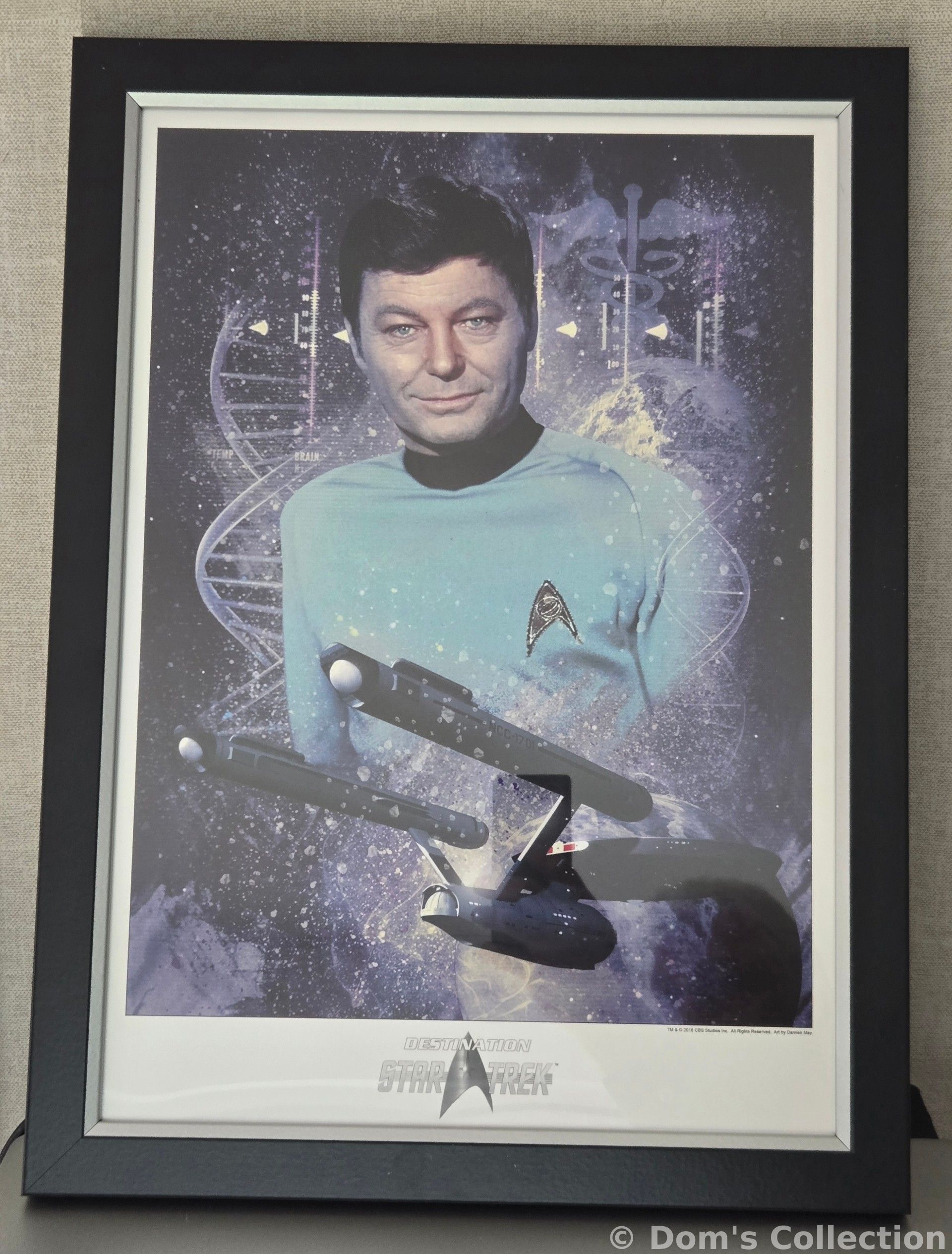 Hommage au Dr "Bones" McCoy